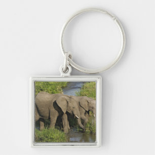 Pair of African Elephants Masai Mara Key Ring