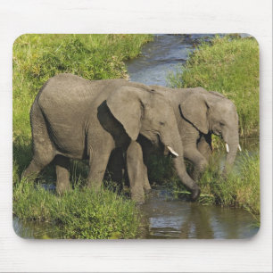 Pair of African Elephants Masai Mara Mouse Pad