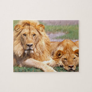 Pair of African Lions, Panthera leo, Tanzania Jigsaw Puzzle