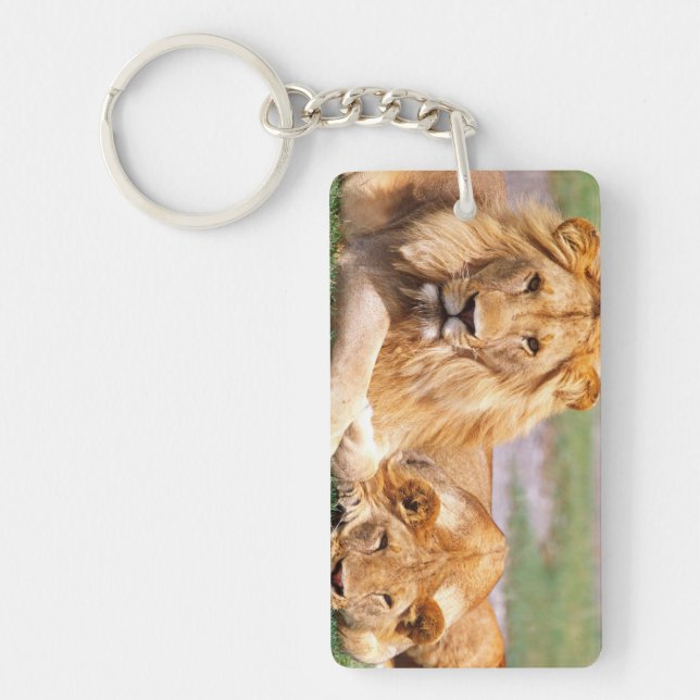 Pair of African Lions, Panthera leo, Tanzania Key Ring (Front)