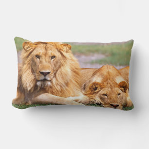 Pair of African Lions, Panthera leo, Tanzania Lumbar Cushion