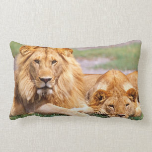 Pair of African Lions, Panthera leo, Tanzania Lumbar Cushion