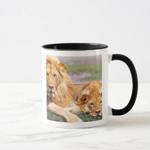 Pair of African Lions, Panthera leo, Tanzania Mug