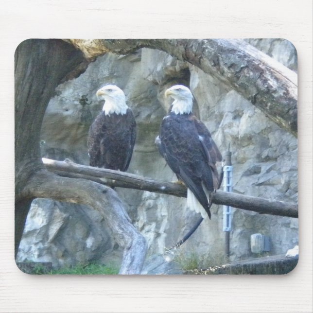 Pair of Bald Eagles Mouse Pad (Front)