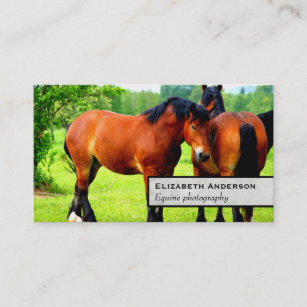 Pair Of Bay Polish Horses   Green Landscape Business Card