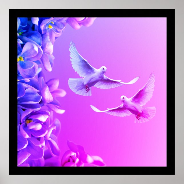 Pair Of Beautiful White Doves Poster (Front)