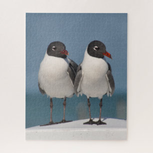 Pair of Black Headed Gulls Jigsaw Puzzle