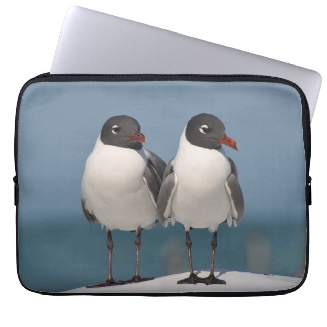 Pair of Black Headed Gulls Laptop Sleeve (Front)