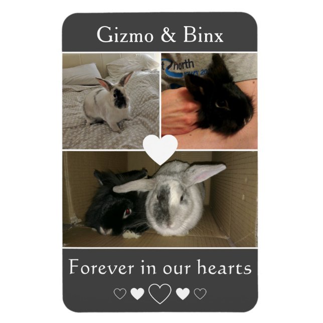 Pair of Bonded Bunnies Photo Memorial Magnet (Vertical)