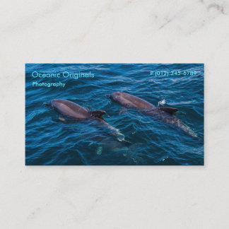 Pair of Bottlenose Dolphins Business Card Template
