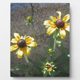 Pair of Brown Eyed Susan Plaque