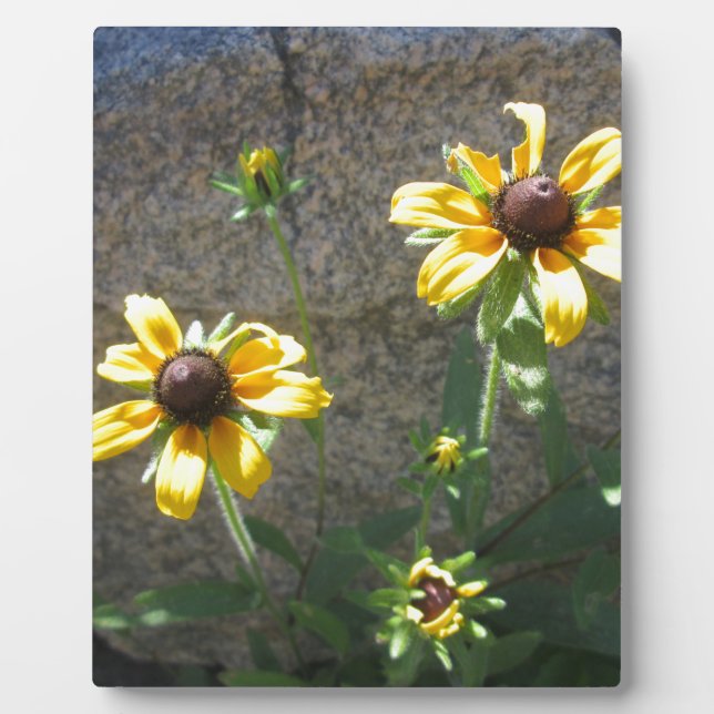 Pair of Brown Eyed Susan Plaque (Front)