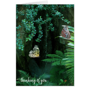 pair of butterflies in tropical garden