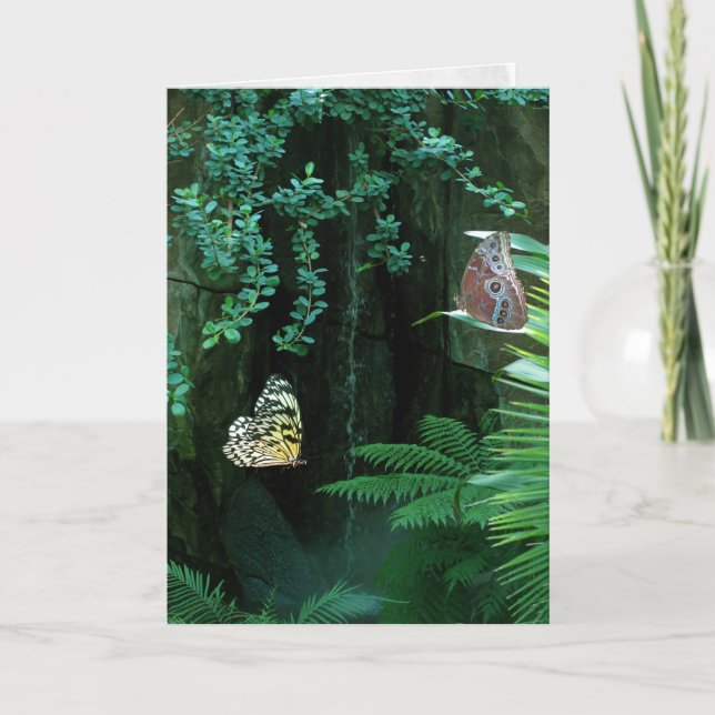 Pair of butterflies in tropical garden sympathy card (Front)