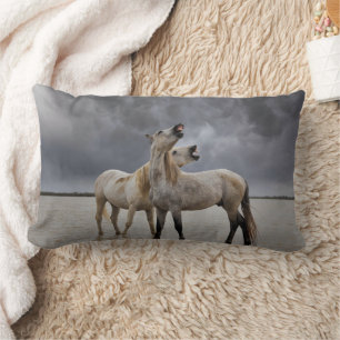 Pair of Camargue Horse Stallions, Southern France Lumbar Cushion