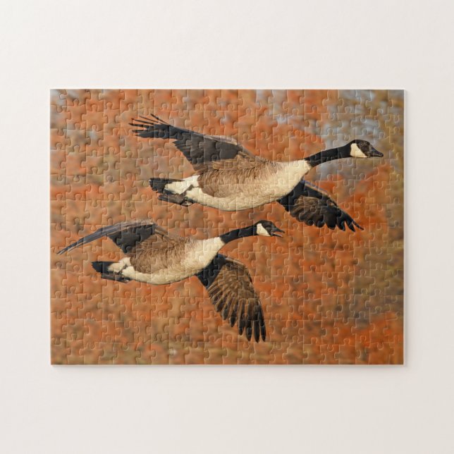 Pair of Canada Geese In Flight Jigsaw Puzzle (Horizontal)