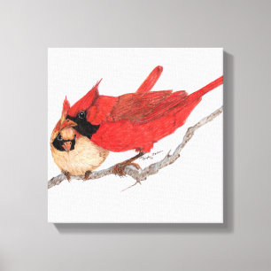 Pair of Cardinals Canvas Print
