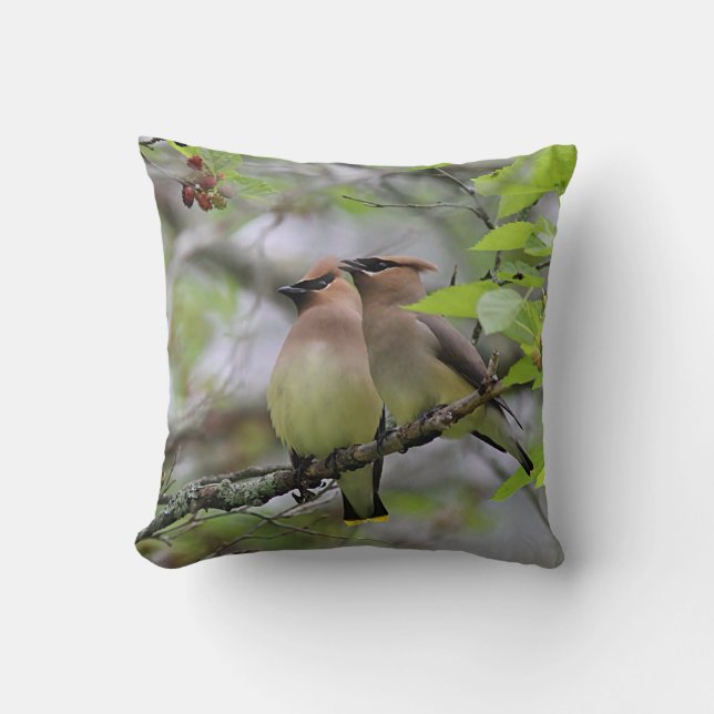 Pair of Cedar Waxwings Cushion (Front)