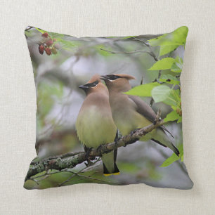 Pair of Cedar Waxwings Cushion