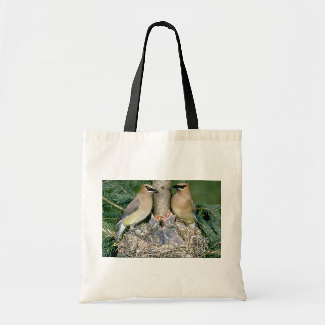 Pair of Cedar Waxwings with young Tote Bag (Front)