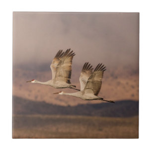 Pair of Cranes in the New Mexico Skies Ceramic Tile
