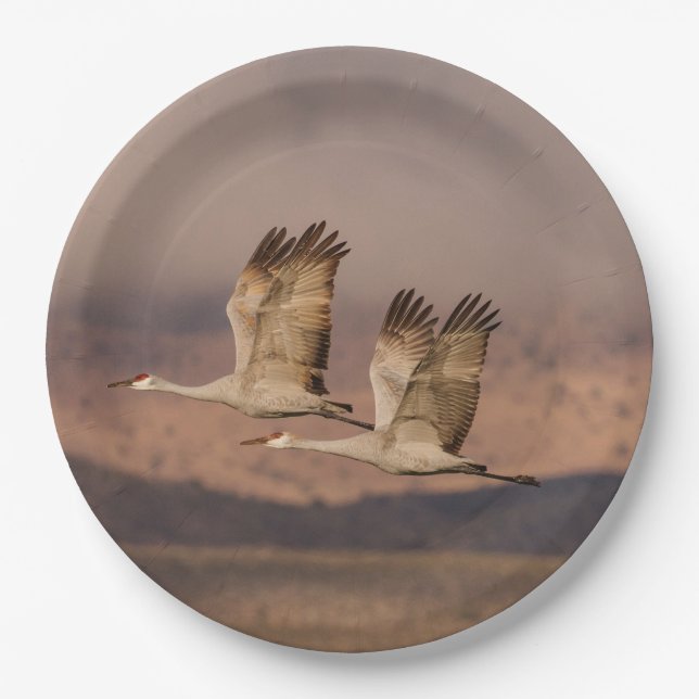 Pair of Cranes in the New Mexico Skies Paper Plate (Front)