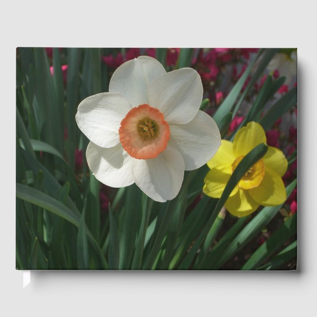 Pair of Daffodils Pink and Yellow Spring Flowers Guest Book (Front)