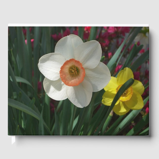 Pair of Daffodils Pink and Yellow Spring Flowers Guest Book (Front)