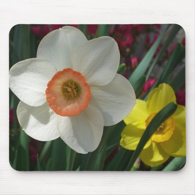 Pair of Daffodils Pink and Yellow Spring Flowers Mouse Pad (Front)