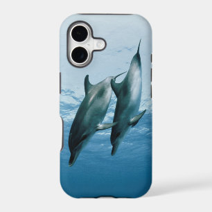 Pair of Dolphins