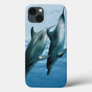 Pair of Dolphins iPhone 13 Case