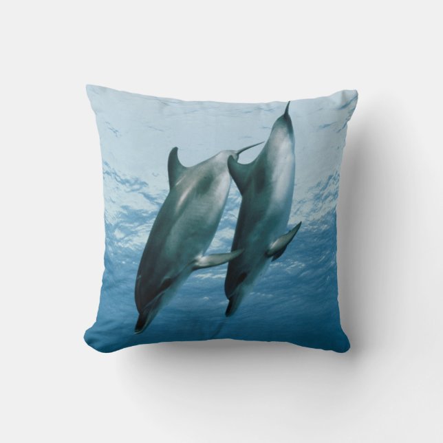 Pair of Dolphins Cushion (Front)