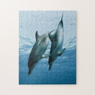 Pair of Dolphins Jigsaw Puzzle