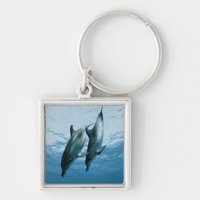 Pair of Dolphins Key Ring (Front)
