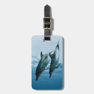 Pair of Dolphins Luggage Tag