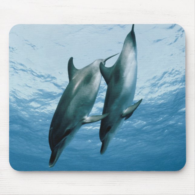 Pair of Dolphins Mouse Pad (Front)