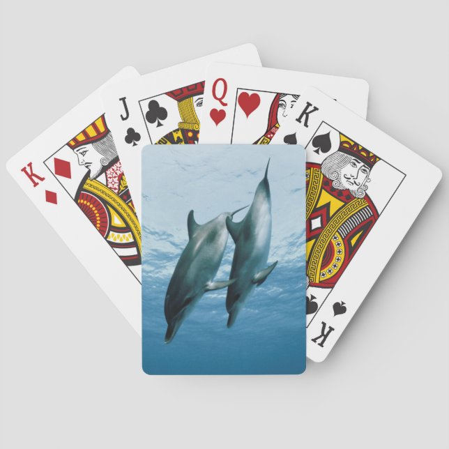Pair of Dolphins Playing Cards (Back)