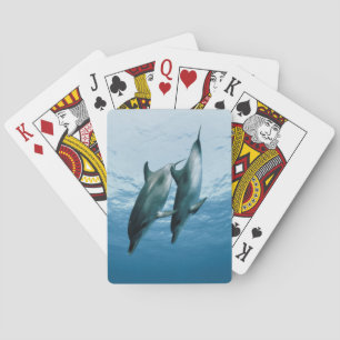 Pair of Dolphins Playing Cards