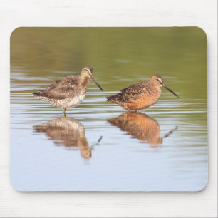 Pair of Dowitchers Mouse Pad