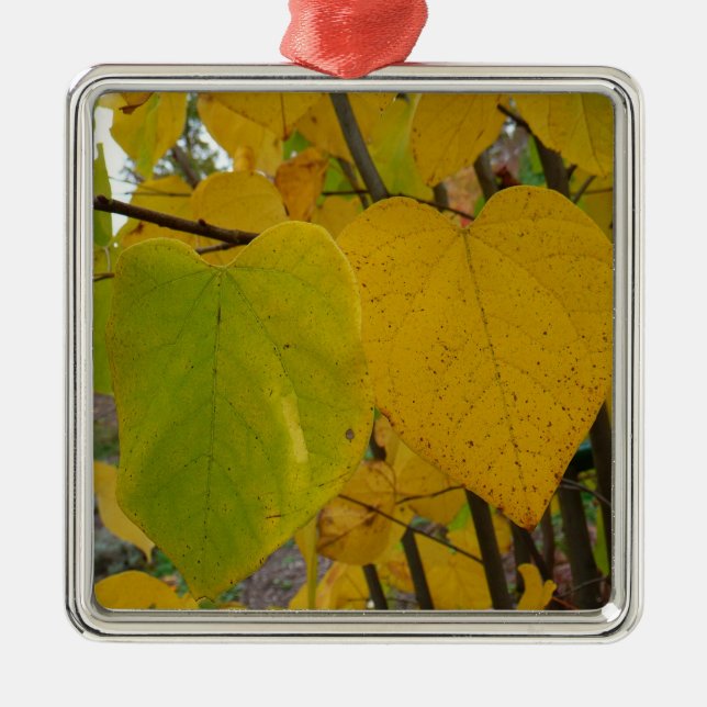 Pair of Fall Redbud Leaves Autumn Photography Metal Ornament (Front)