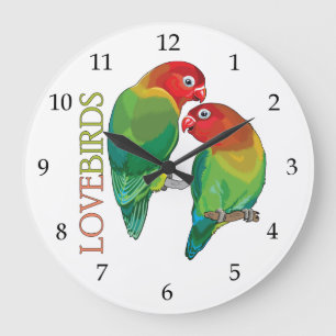 pair of fischer"s lovebirds parrots large clock