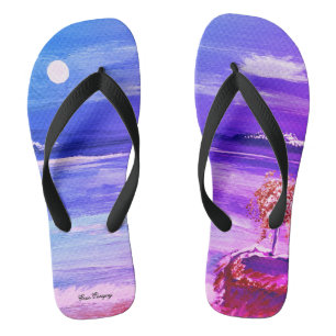 Pair of Flip Flops