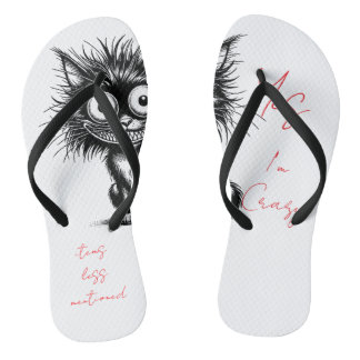 Pair of Flip Flops