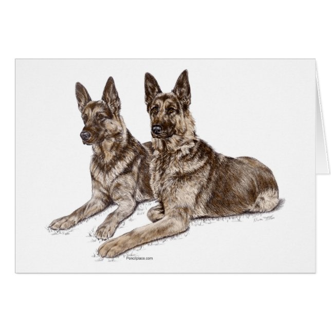 Pair of German Shepherd Dogs (Front Horizontal)