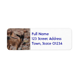Pair of Goats Return Address Label