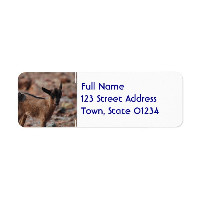 Pair of Goats Return Address Label (Front)