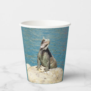 Pair of Iguanas Tropical Wildlife Photography Paper Cups