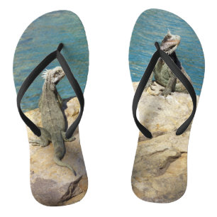 Pair of Iguanas Tropical Wildlife Photography Thongs