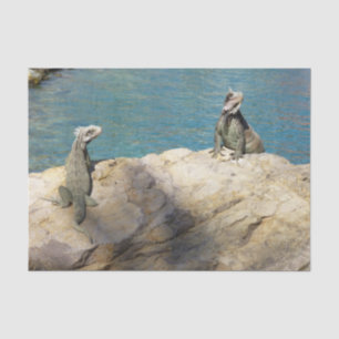 Pair of Iguanas Tropical Wildlife Photography Tissue Paper