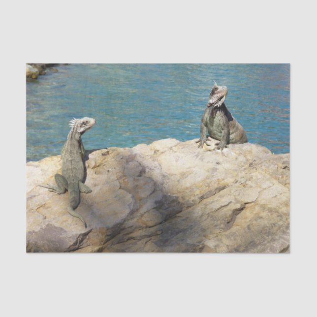 Pair of Iguanas Tropical Wildlife Photography Tissue Paper (Front)